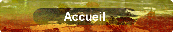 Accueil